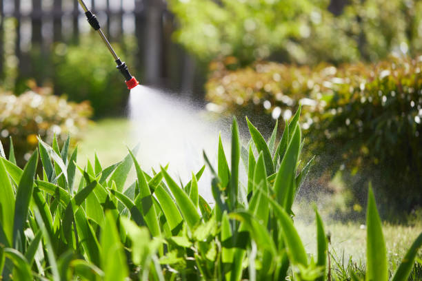 24/7 Emergency Mosquito Control experts in Jessup, MD